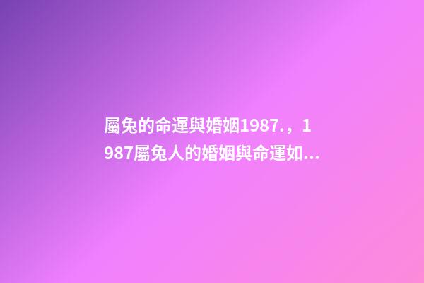 屬兔的命運與婚姻1987.，1987屬兔人的婚姻與命運如何 87年屬兔2022年婚姻最終歸宿-第1張-觀點-玄機派